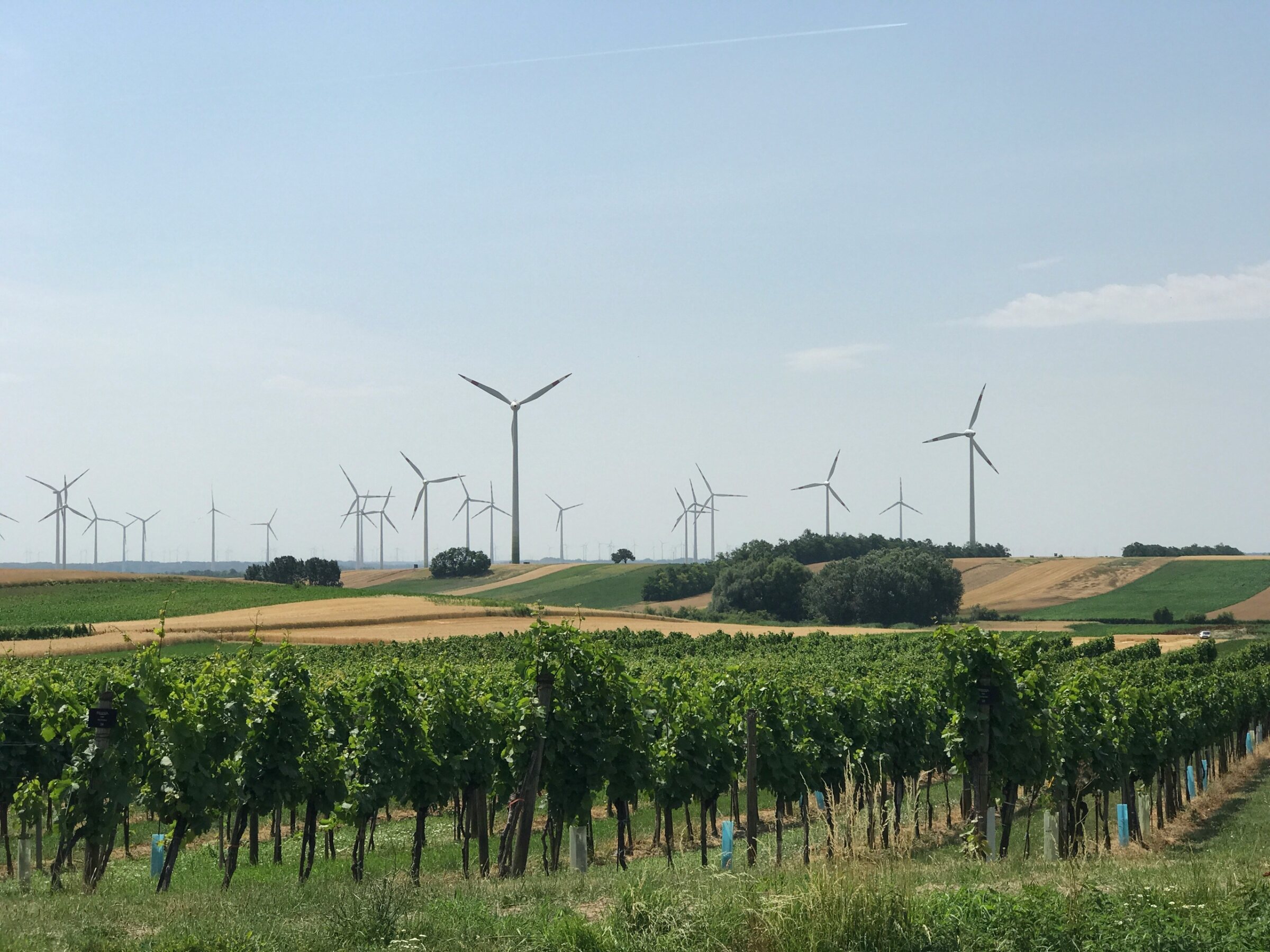 Une expertise au service des collectifs citoyens
